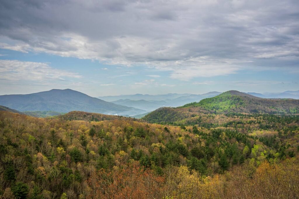 Vue large de collines boisées, paysage forestier
