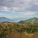 Vue large de collines boisées, paysage forestier
